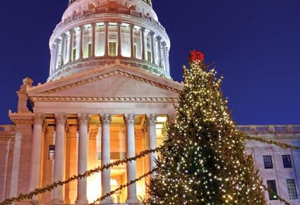 Choose & Cut Christmas Trees guide now available through the West Virginia Division of Forestry