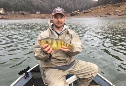 State record yellow perch caught