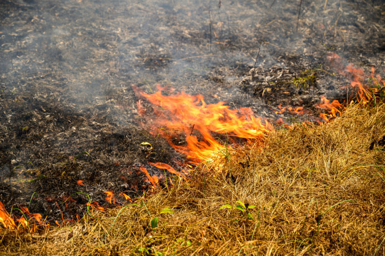 Fall fire season begins Oct. 1, West Virginia residents urged to follow burning guidelines