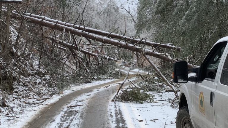 WVDOF state foresters work to clear roads during winter storm emergency