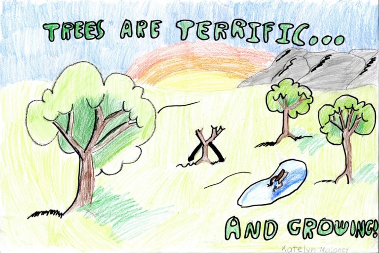 West Virginia Division of Forestry honors student winners of 2021 Arbor Day Poster contest