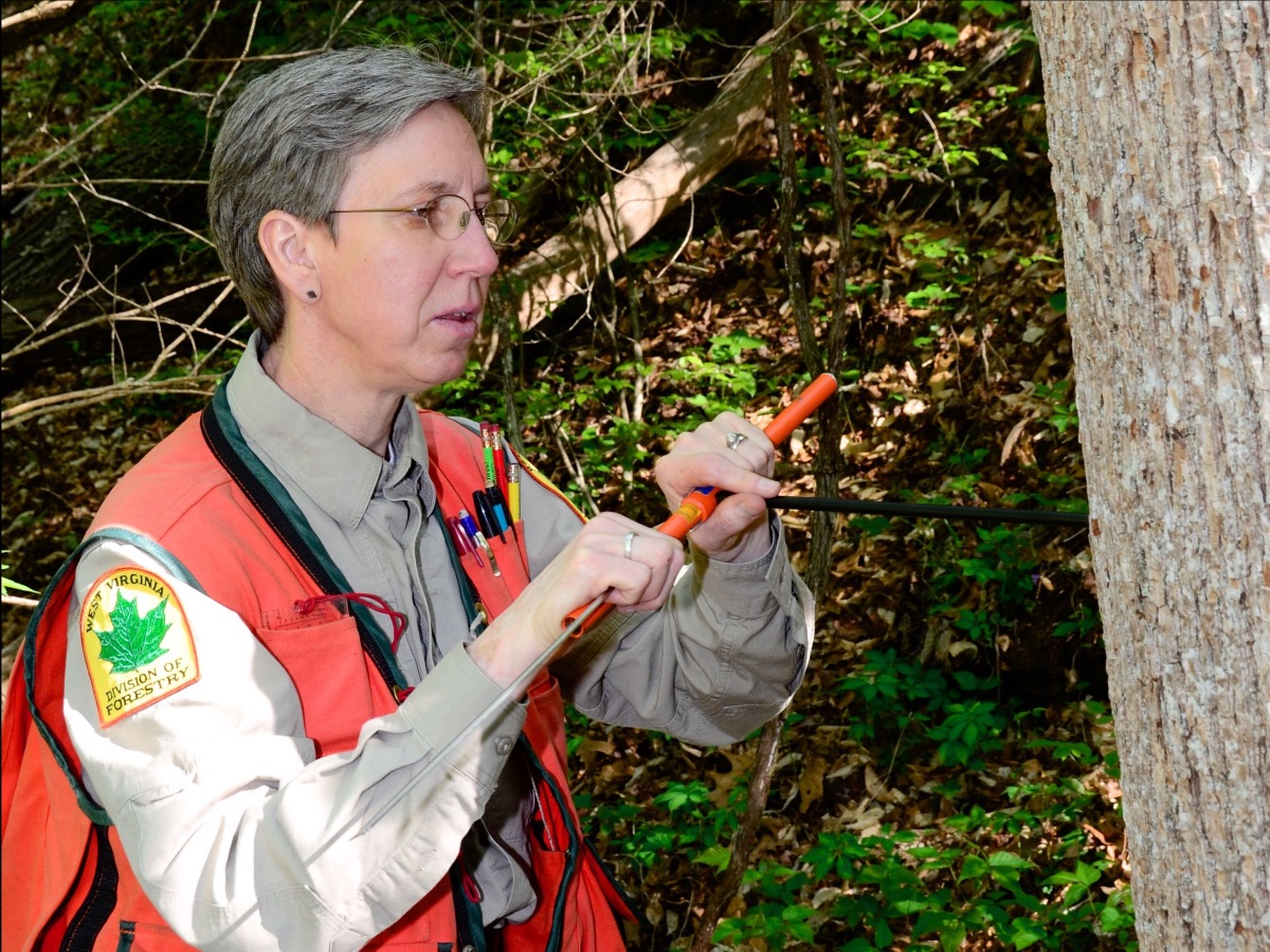 Registration for WV Forestry's Women Owning Woodlands weekend now open
