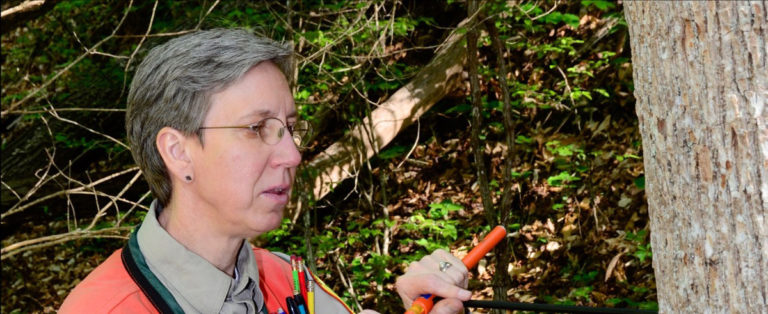 Registration for WV Forestry’s Women Owning Woodlands weekend now open