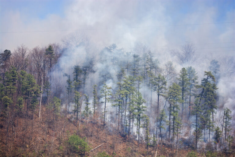 WV spring fire season, burning restrictions return March 1