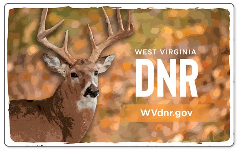 WVDNR announces 2024 hunting, trapping, fishing licenses now on sale