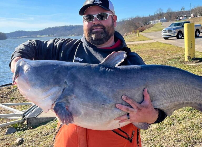 Gov. Justice, WVDNR announce blue catfish state record broken again in West Virginia