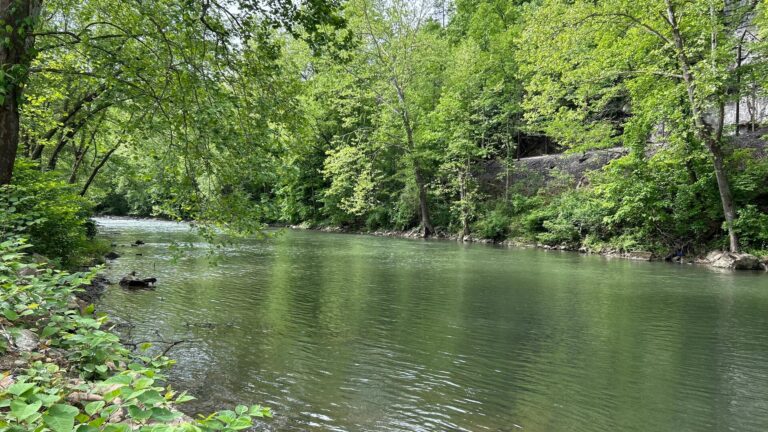 WVDNR opens new public stream access site in Pineville