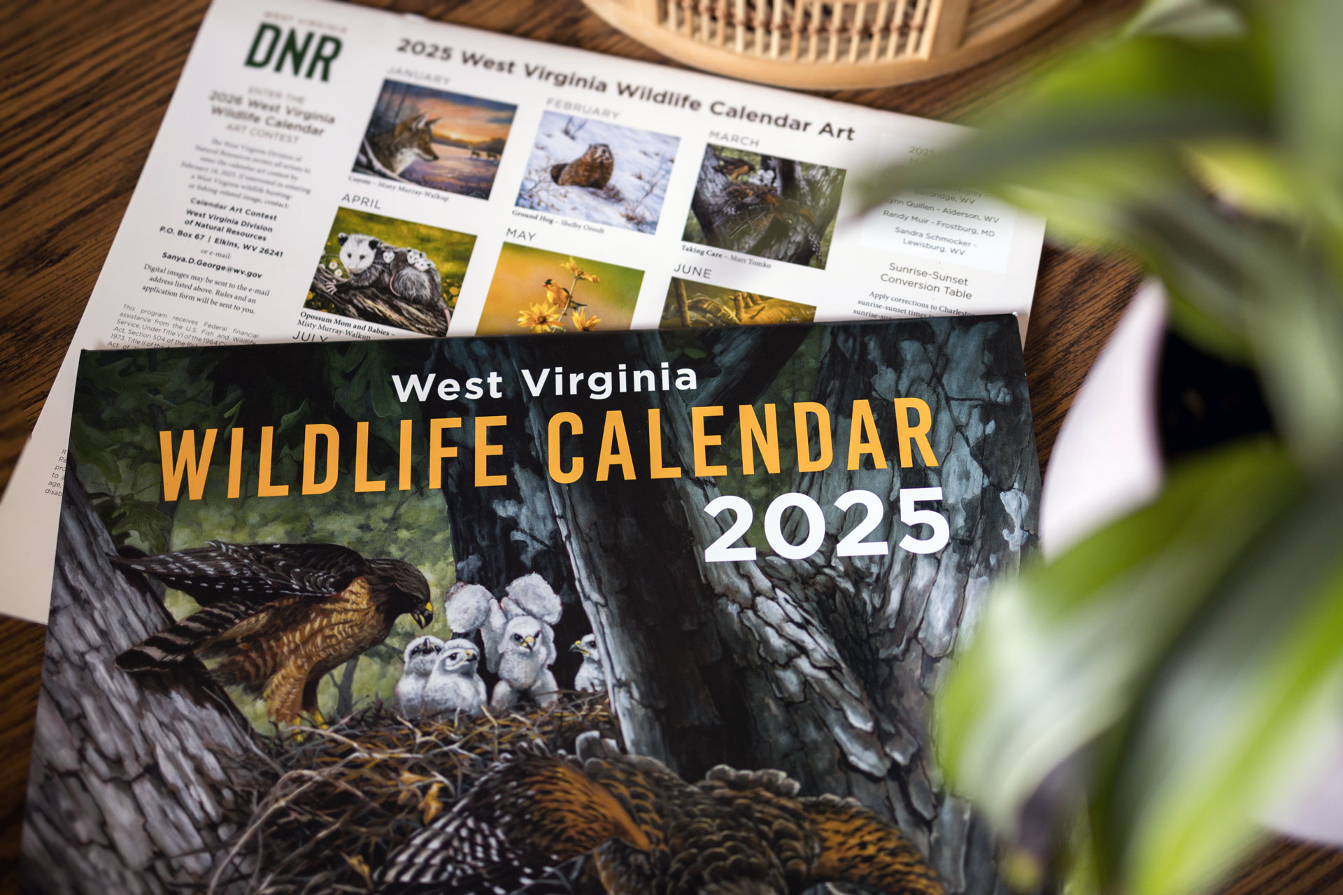 WV DNR Trout Stocking Program in 2025