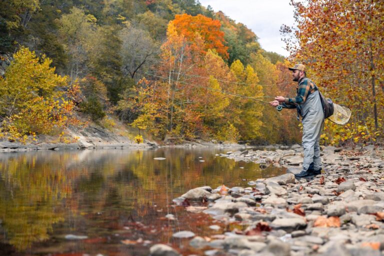 Gov. Justice announces fall trout stockings return of Monster Trout Contest