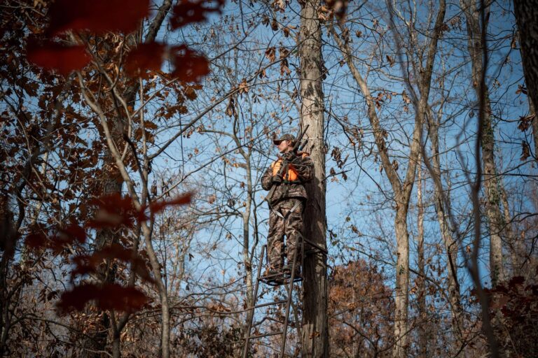 WVDNR reminds hunters about tree stand safety