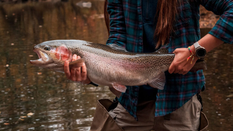 Gov. Justice announces Monster Trout Contest winners