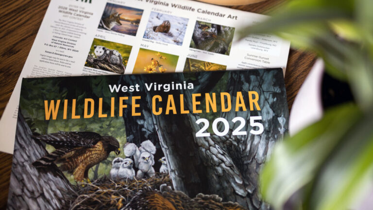 West Virginia Wildlife Calendar Holiday Delivery Deadline is Dec. 15