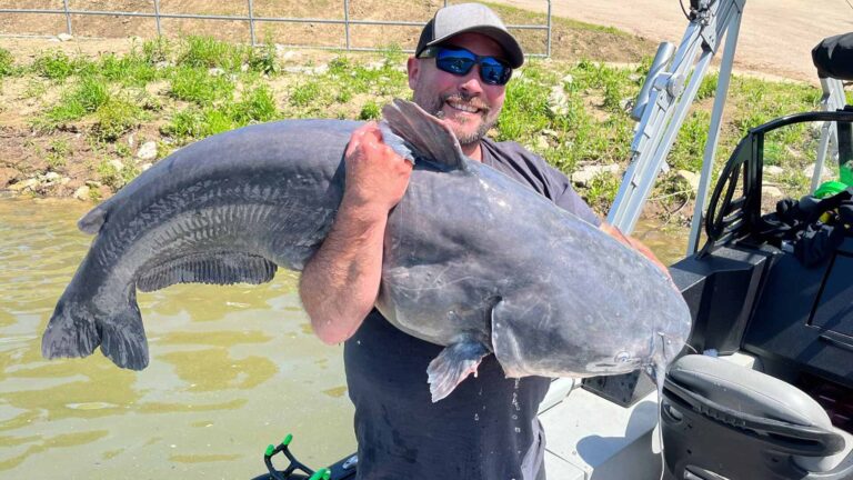 West Virginia Anglers Catch Record Largemouth Bass, Blue Catfish
