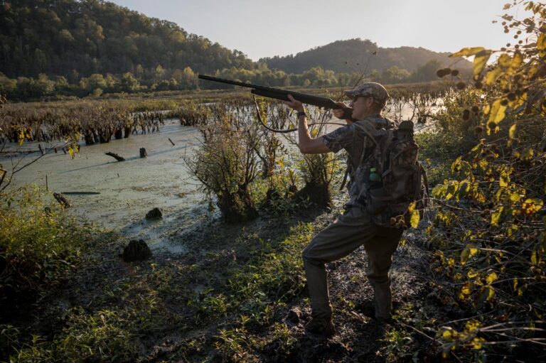 WVDNR now accepting applications for waterfowl hunt at McClintic WMA