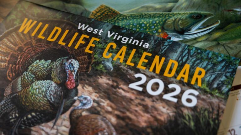 2026 West Virginia Wildlife Calendar Now Available to Purchase