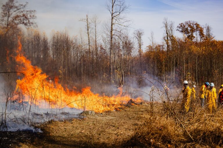 WV Division of Forestry urges caution during fall fire season starting Oct. 1